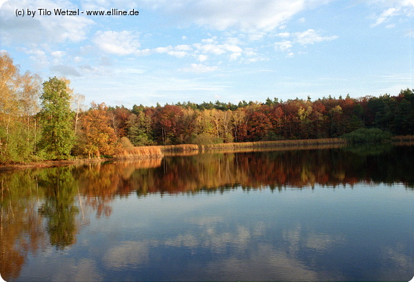 herbst_2008-0031